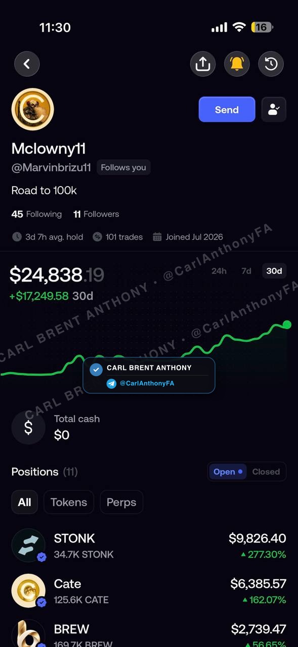 Carl Brent Anthony verified member profit proof - Carl Anthony Member Profit Proof 02