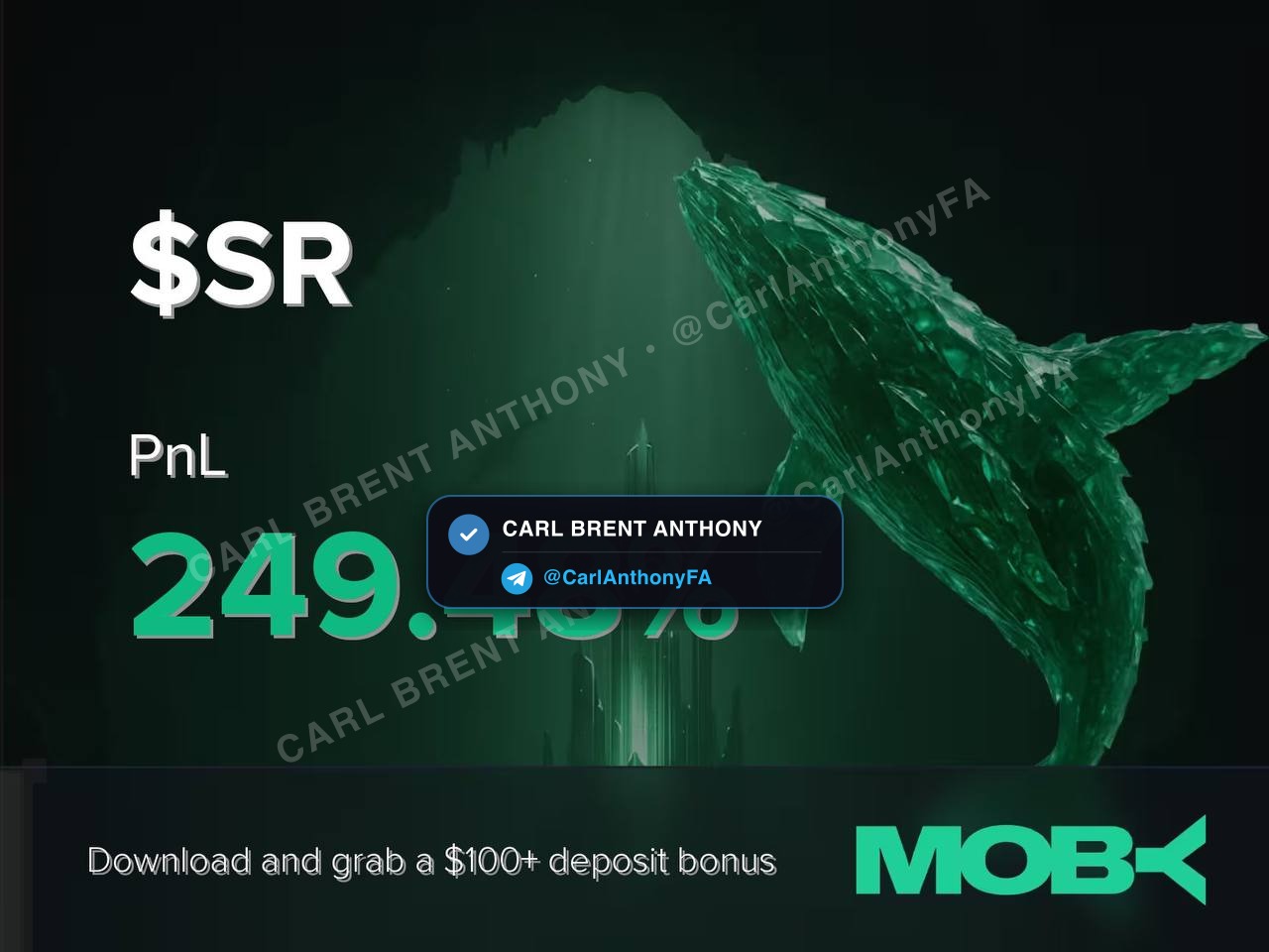 Carl Brent Anthony verified member profit proof - Learn And Earn Trading Success 3